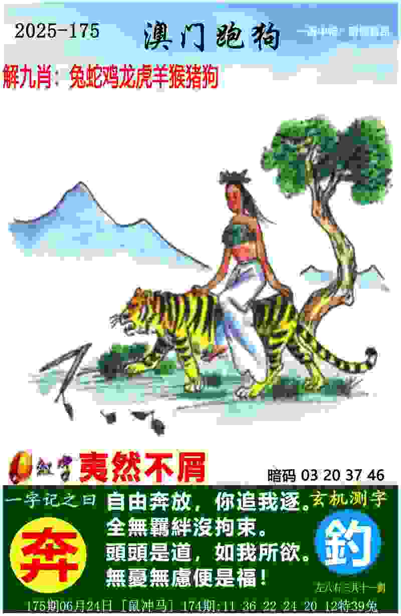 久尔杰维奇出任国足代理主教练，伊万科维奇不再担任主教练